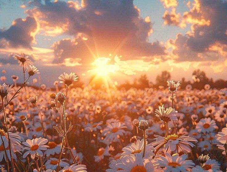  Инђија се спрема за право летње време!