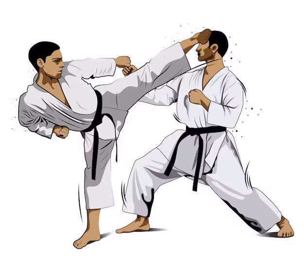  Инђијски каратисти донели медаље из Плзена